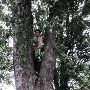 Meet your Posher, Joshua